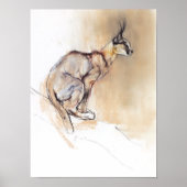 Seated Caracal 2009 Poster (Vorne)
