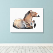 Seated Przewalski 2011 Leinwanddruck (Insitu (Holzboden))