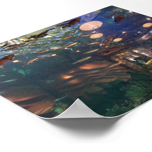 Seattle Aquarium Poster (Ecke)