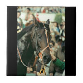 Seattle-DurchlaufThoroughbred 1978 Fliese (Vorderseite)