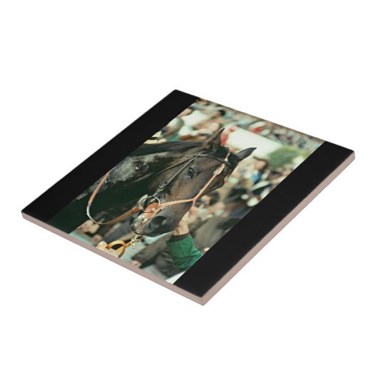 Seattle-DurchlaufThoroughbred 1978 Fliese (Seite)