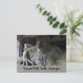 Seattle Fremont Troll #1 Postcard Postkarte (Stehend Vorderseite)