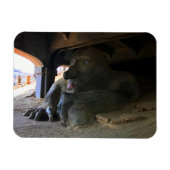 Seattle Fremont Troll #2 Magnet (Horizontal)