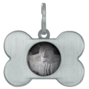 Seattle Fremont Troll Pet Tag Tiermarke