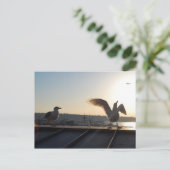 Seattle Seagulls Postkarte (Stehend Vorderseite)