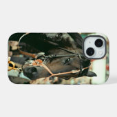 Seattle Slew Thoroughbred 1978 iPhone 15 Hülle (Rückseite (Horizontal))