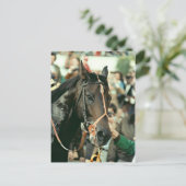 Seattle Slew Thoroughbred 1978 Postkarte (Stehend Vorderseite)