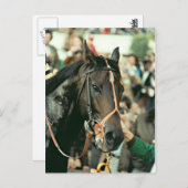 Seattle Slew Thoroughbred 1978 Postkarte (Vorne/Hinten)