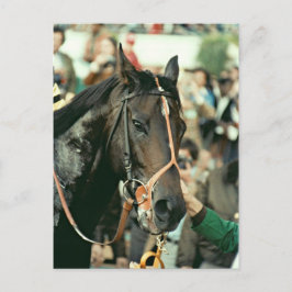 Seattle Slew Thoroughbred 1978 Postkarte