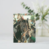 Seattle Slew Thoroughbred 1978 Postkarte (Stehend Vorderseite)