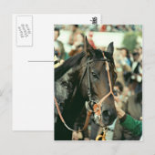 Seattle Slew Thoroughbred 1978 Postkarte (Vorne/Hinten)
