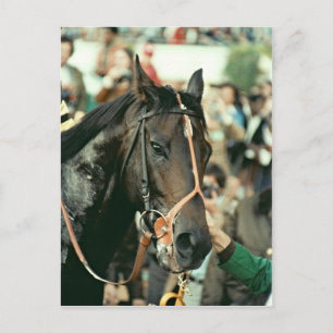 Seattle Slew Thoroughbred 1978 Postkarte