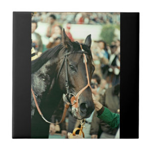 Seattle Slew Vollblut 1978 Fliese