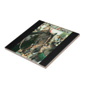 Seattle Slew Vollblut 1978 Fliese (Seite)