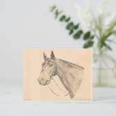 Seattle Slew von Susan Pelisek Kolberg Postkarte (Stehend Vorderseite)