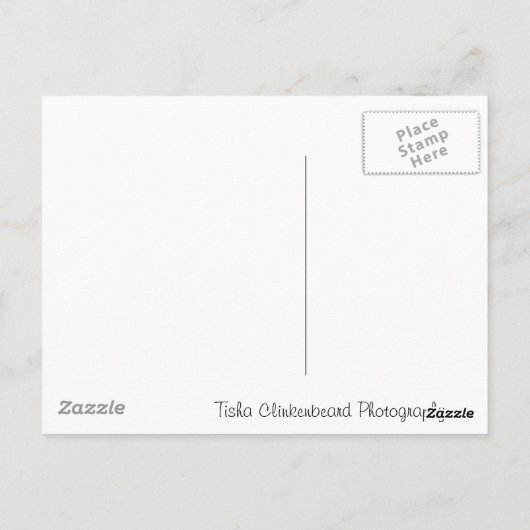 Seattle, WA Postkarte (Rückseite)