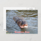 Seattle Zoo Postkarte (Vorne/Hinten)
