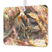 SEAWEED AUTOLUFTERFRISCHER (Links)