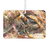 SEAWEED AUTOLUFTERFRISCHER (Vorderseite)