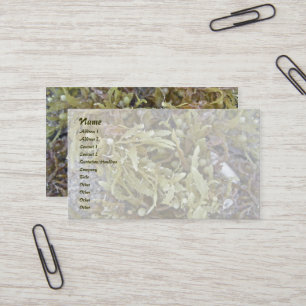 Seaweed Business Card Visitenkarte