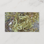 Seaweed Business Card Visitenkarte (Rückseite)