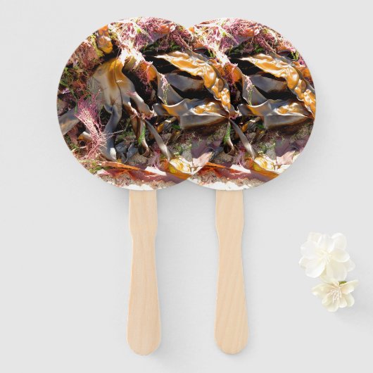 SEAWEED FÄCHER (Vorne und Hinten)