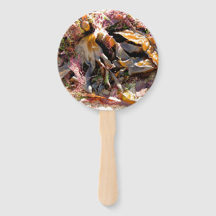 SEAWEED FÄCHER