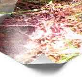 SEAWEED FOTODRUCK (Ecke)