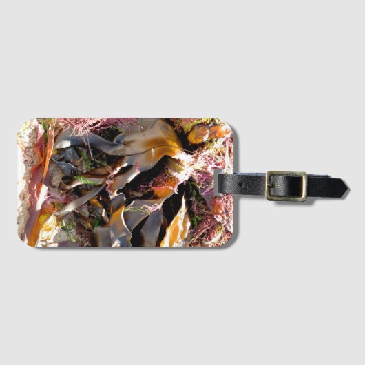 SEAWEED GEPÄCKANHÄNGER (Vorderseite (Horizontal))