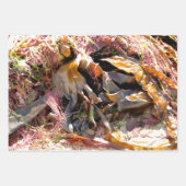 SEAWEED GESCHENKPAPIER SET (Vorderseite 2)