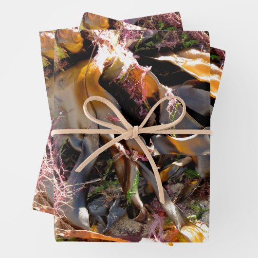 SEAWEED GESCHENKPAPIER SET (Beispiel)