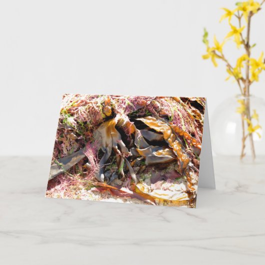 SEAWEED KARTE (Gelbe Blume)