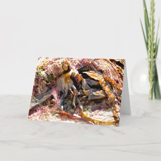 SEAWEED KARTE (Vorderseite)