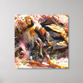 SEAWEED LEINWANDDRUCK (Vorderseite)