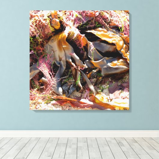 SEAWEED LEINWANDDRUCK (Insitu (Holzboden))
