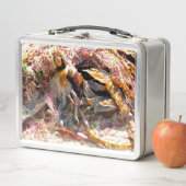 SEAWEED METALL BROTDOSE (Beispiel)