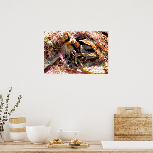 SEAWEED POSTER (Küche)