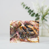 SEAWEED POSTKARTE (Stehend Vorderseite)