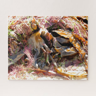 SEAWEED PUZZLE