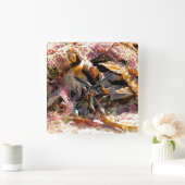 SEAWEED QUADRATISCHE WANDUHR (Zuhause)