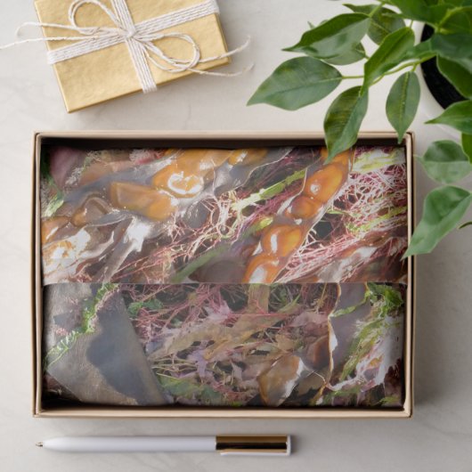 SEAWEED SEIDENPAPIER (Geschenk)