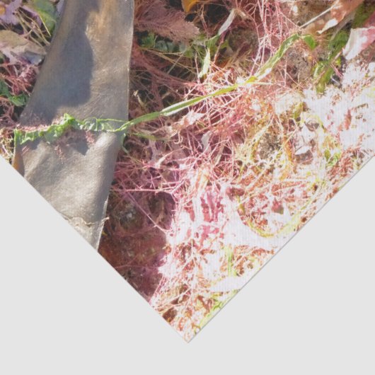 SEAWEED SEIDENPAPIER (Detail)