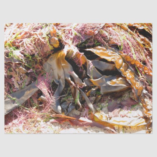 SEAWEED SEIDENPAPIER (Vorderseite)