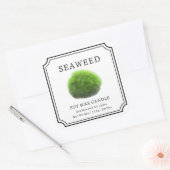 Seaweed Soy Wax Candle Label Quadratischer Aufkleber (Umschlag)