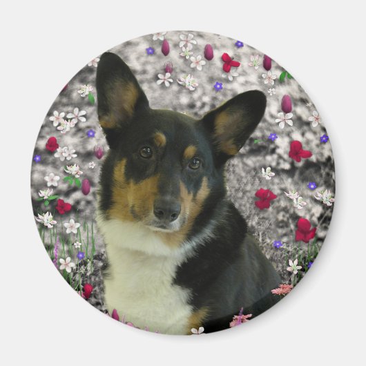 Sebastian, das walisische Corgi in Blume Magnet (Vorne)