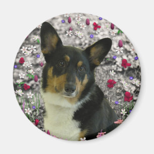 Sebastian der WaliserCorgi in den Blumen Magnet