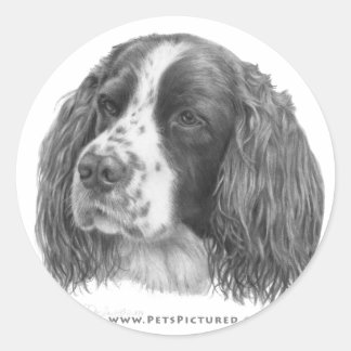 Sebastian, englischer SpringerSpaniel Runder Aufkleber