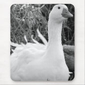 Sebastopol Goose Mousepad (Vorne)