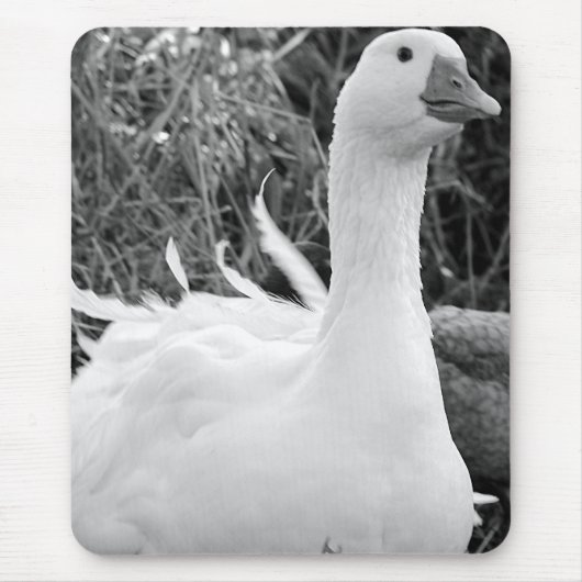 Sebastopol Goose Mousepad (Vorne)