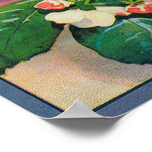 Sebastopol Gravensteins Apple LabelSonoma, CA Poster (Ecke)